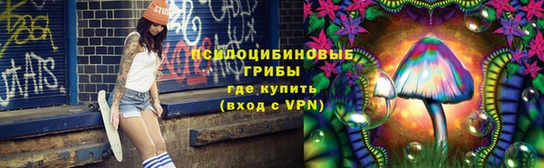 СК Инсар