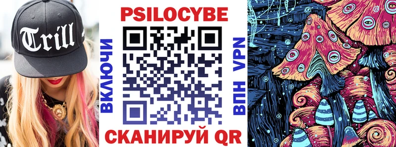 Купить где  Еманжелинск  Псилоцибиновые грибы Psilocybe 